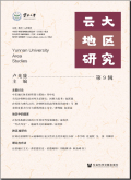 云大地区研究