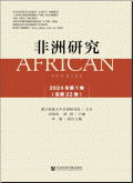 非洲研究