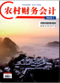 农村财务会计