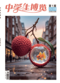 中学生博览