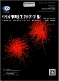 中国细胞生物学学报