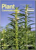 植物通讯（英文）