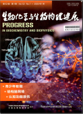 生物化学与生物物理进展