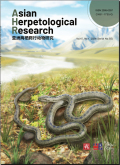 亚洲两栖爬行动物研究（英文版）
