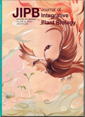 植物学报（英文版）