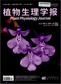 植物生理学报