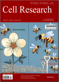细胞研究（英文版）