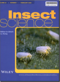 中国昆虫科学（英文版）