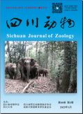 四川动物