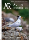 鸟类学研究（英文版）