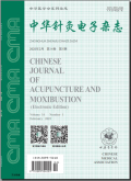 中华针灸电子杂志