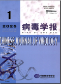 病毒学报