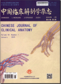 中国临床解剖学杂志