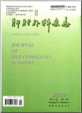 肝胆外科杂志