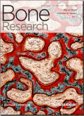 骨研究（英文版）