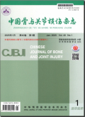 中国骨与关节损伤杂志