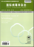国际病毒学杂志