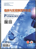 临床与实验病理学杂志