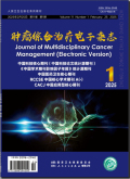 肿瘤综合治疗电子杂志