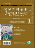 泌尿外科杂志（电子版）