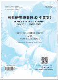 外科研究与新技术（中英文）