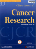 中国癌症研究（英文版）