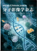 分子影像学杂志