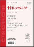 中华损伤与修复杂志（电子版）