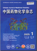 中国药物化学杂志