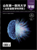 山东第一医科大学（山东省医学科学院）学报