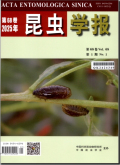 昆虫学报