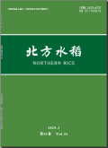 北方水稻