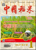 中国稻米