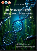 中国水稻科学