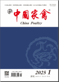 中国家禽