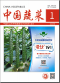 中国蔬菜