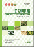 作物学报