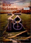 水稻科学（英文版）