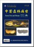 中国森林病虫