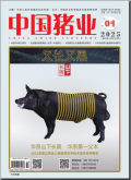 中国猪业