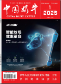 中国奶牛
