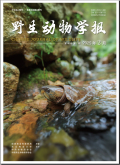 野生动物学报