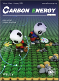 碳能源（英文）
