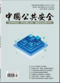 中国公共安全